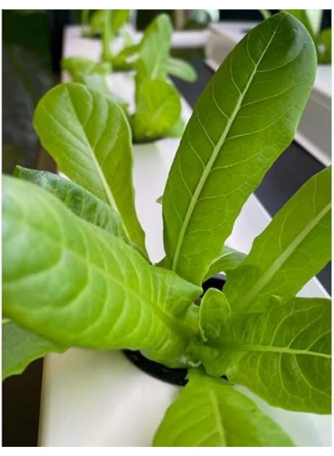 نظام زراعة مائية (هيدروبونيك) – أنابيب NFT للزراعة المائية في الحدائق الداخلية والخارجية، صديق للبيئة وآمن للاستخدام، عبوة من 6 قطع مناسبة لزراعة أنواع مختلفة من النباتات باستخدام نظام الزراعة المائية - Image 2